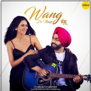 Wang Da Naap – Ammy Virk album cover